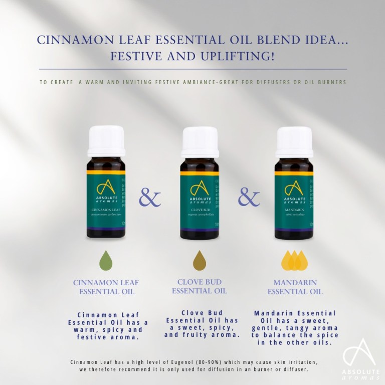 Absolute Aromas Cinnamon Leaf Essential Oil