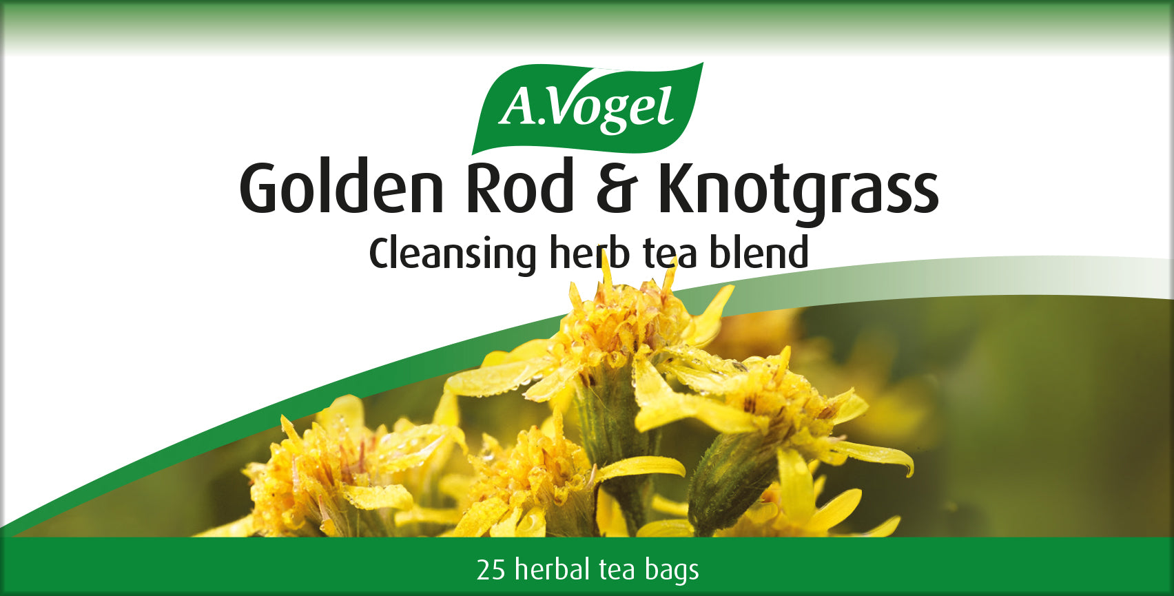 Golden Rod & Knotgrass Tea image 0