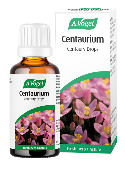 Centaurium (Centaury) image 2