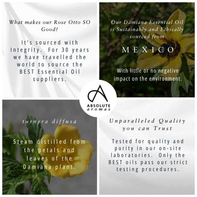Absolute Aromas Damiana Essential Oil