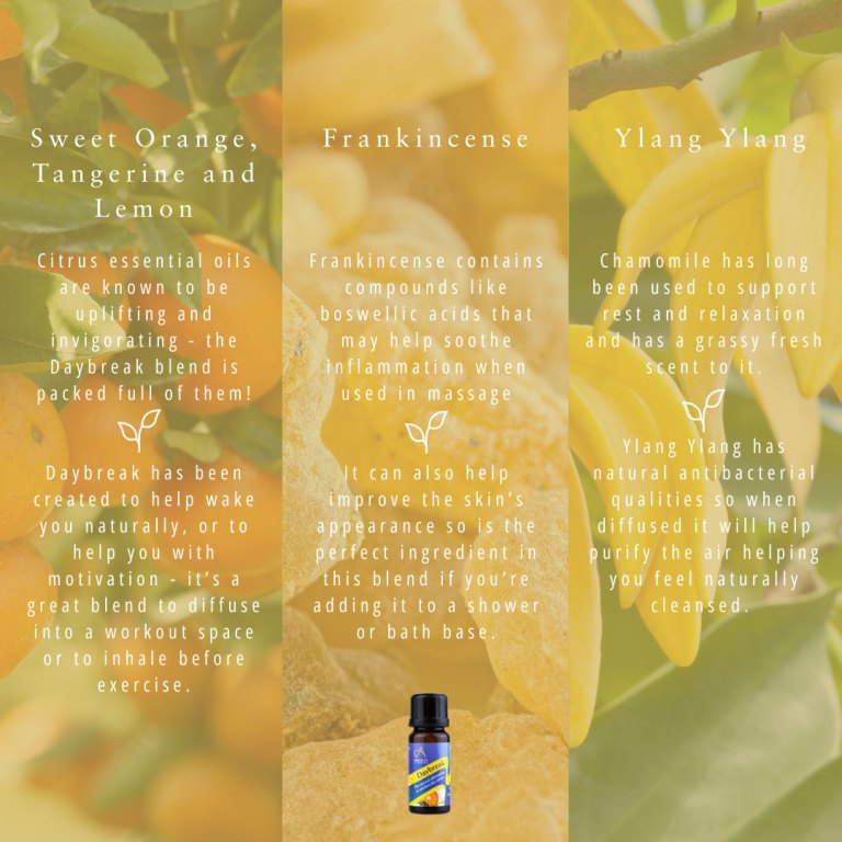 Absolute Aromas Daybreak Essential Blend