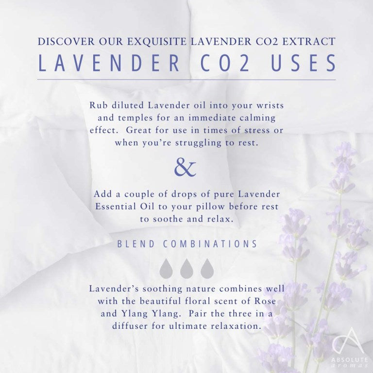 Absolute Aromas Lavender CO2 Extract