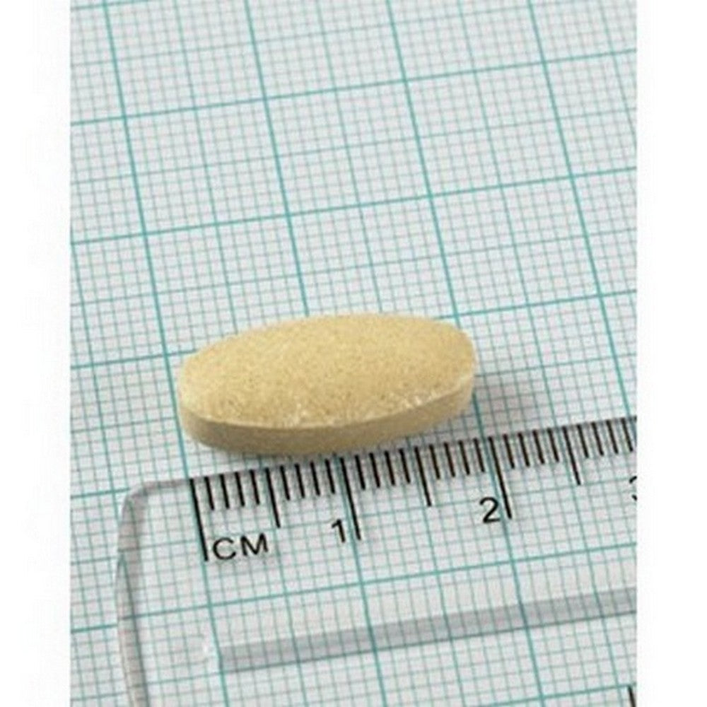 Lamberts Milk Thistle 8500mg 90 tablets image 1
