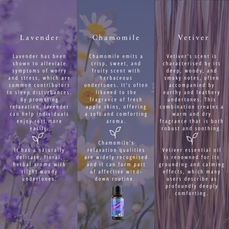 Absolute Aromas Goodnight Essential Blend