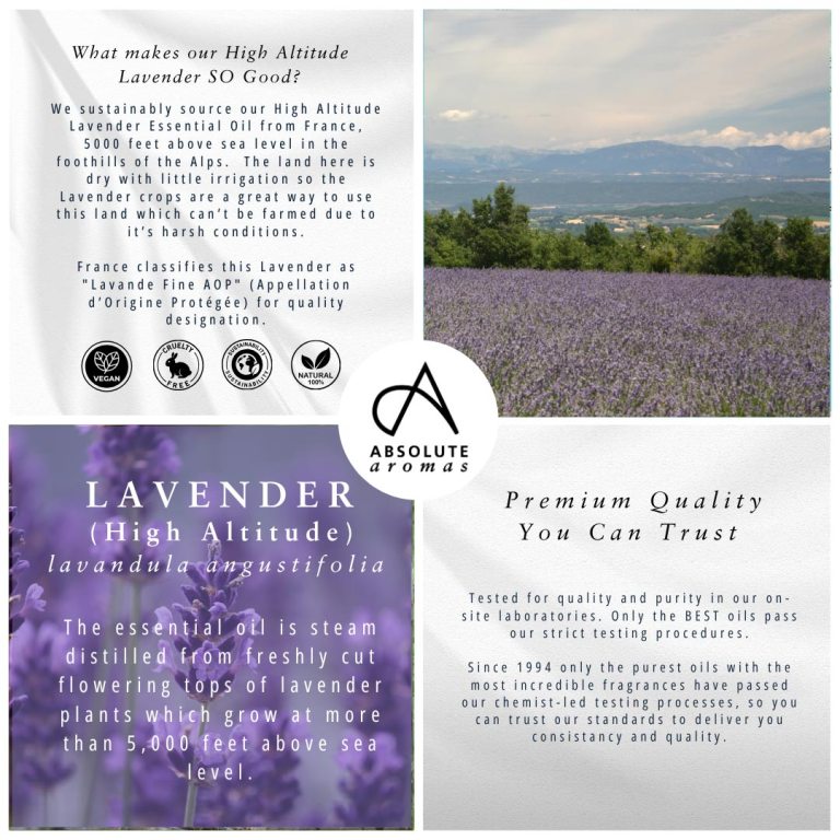 Absolute Aromas Lavender High Altitude Essential Oil