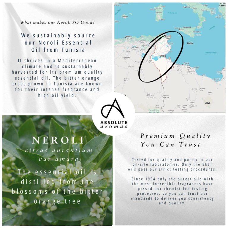 Absolute Aromas Neroli Essential Oil