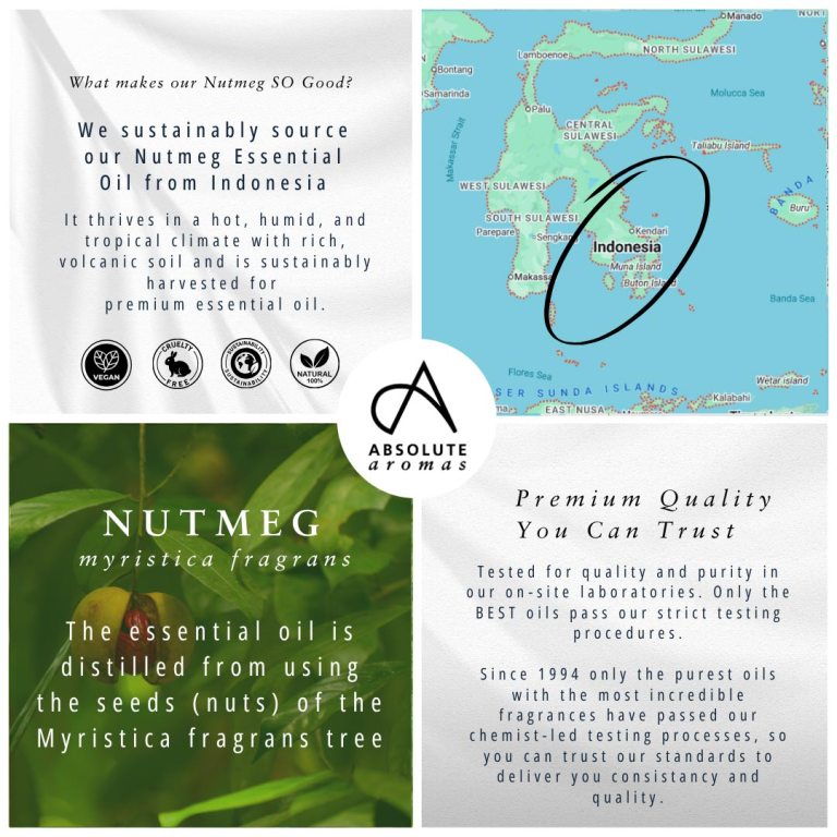 Absolute Aromas Nutmeg Essential Oil