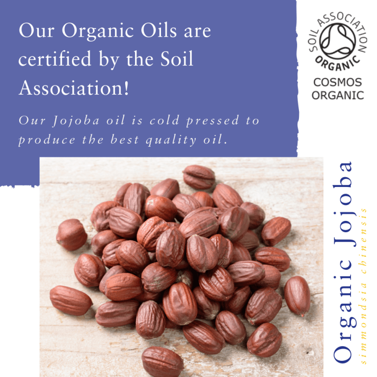 Absolute Aromas Organic Jojoba