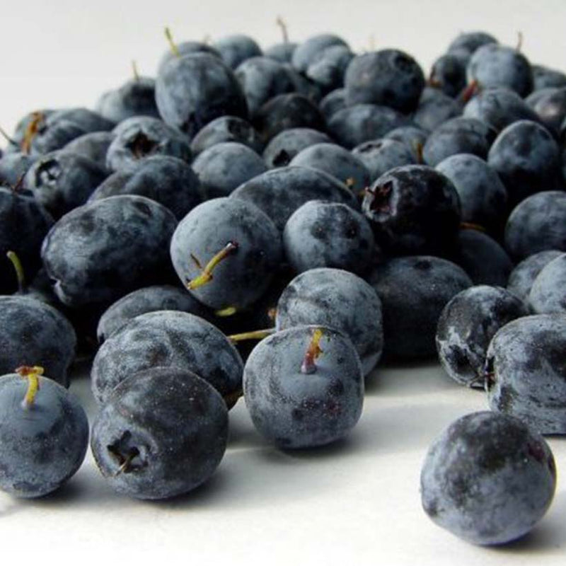 Alteya Organics Certified Organic Acai Berry Oil