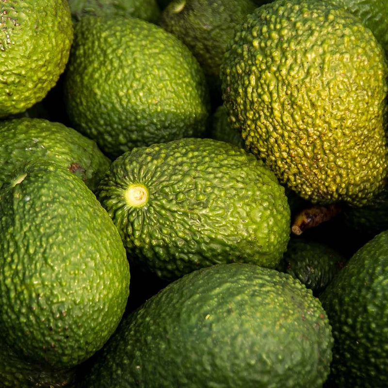 Alteya Organics Certified Organic Avocado Oil