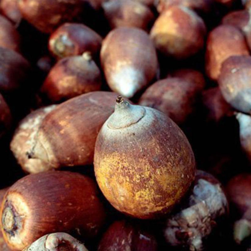Alteya Organics Certified Organic Babassu Oil