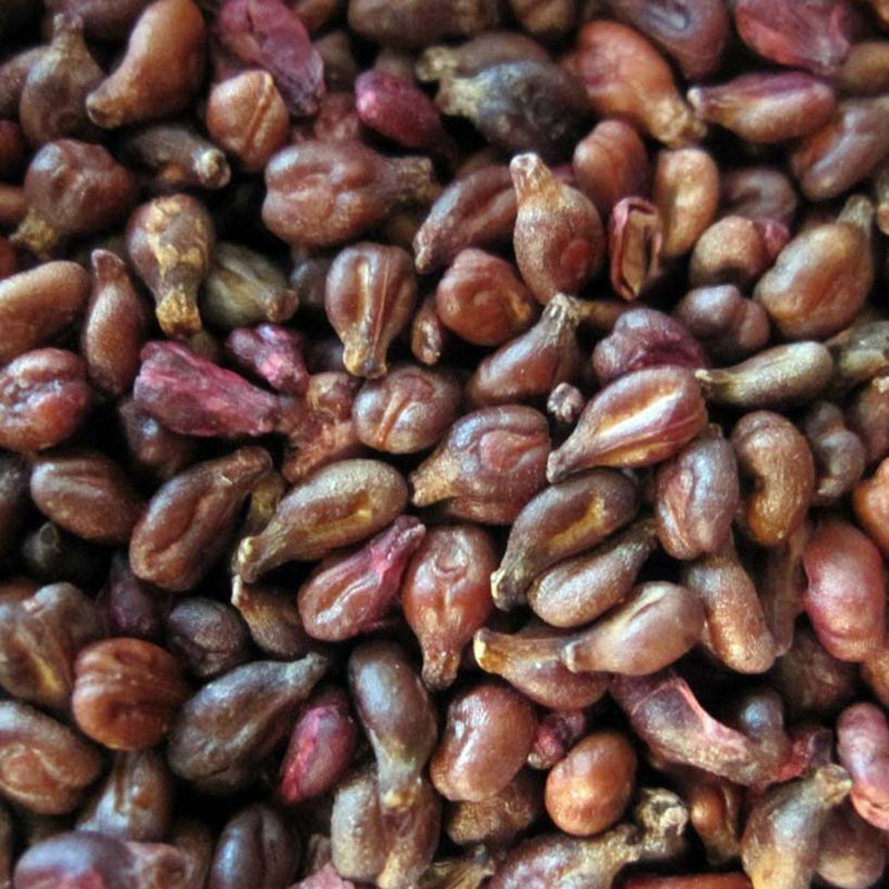 Alteya Organics Certified Organic Grape Seed Oil