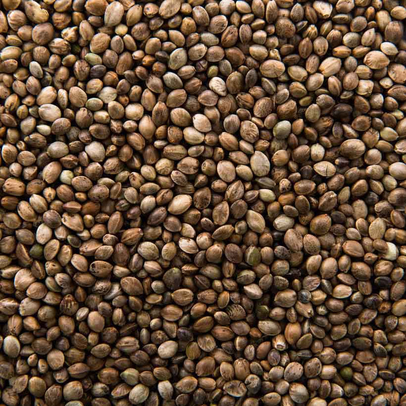 Alteya Organics Certified Organic Hemp Seed Oil