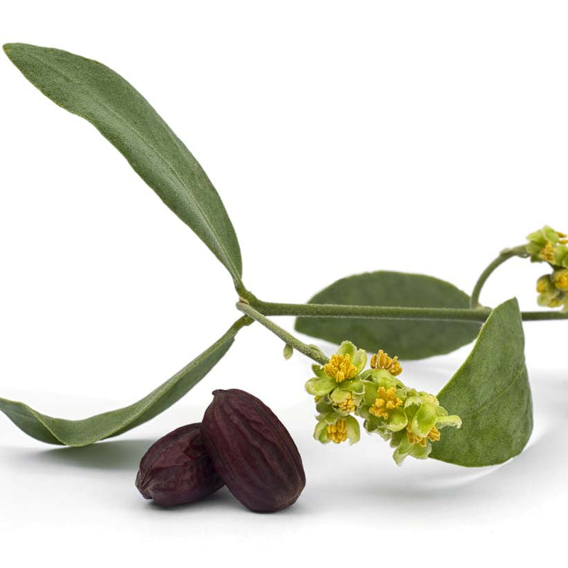 Alteya Organics Certified Organic Jojoba Oil