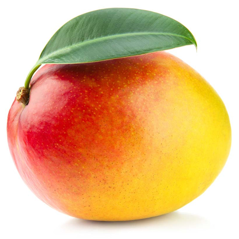 Alteya Organics Certified Organic Mango Butter