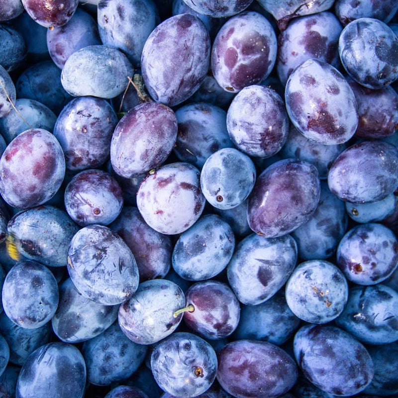 Alteya Organics Certified Organic Plum Kernel Оil