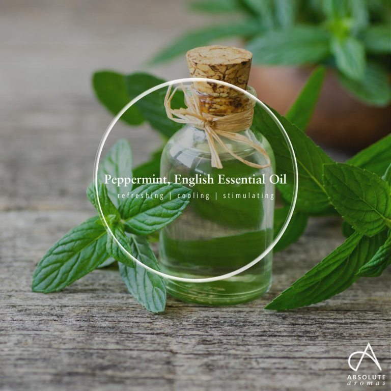 Absolute Aromas Peppermint (English) Essential Oil