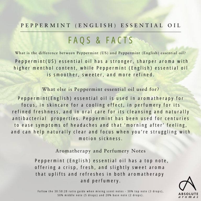 Absolute Aromas Peppermint (English) Essential Oil
