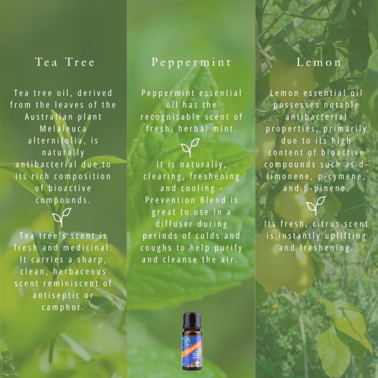 Absolute Aromas Prevention Essential Blend