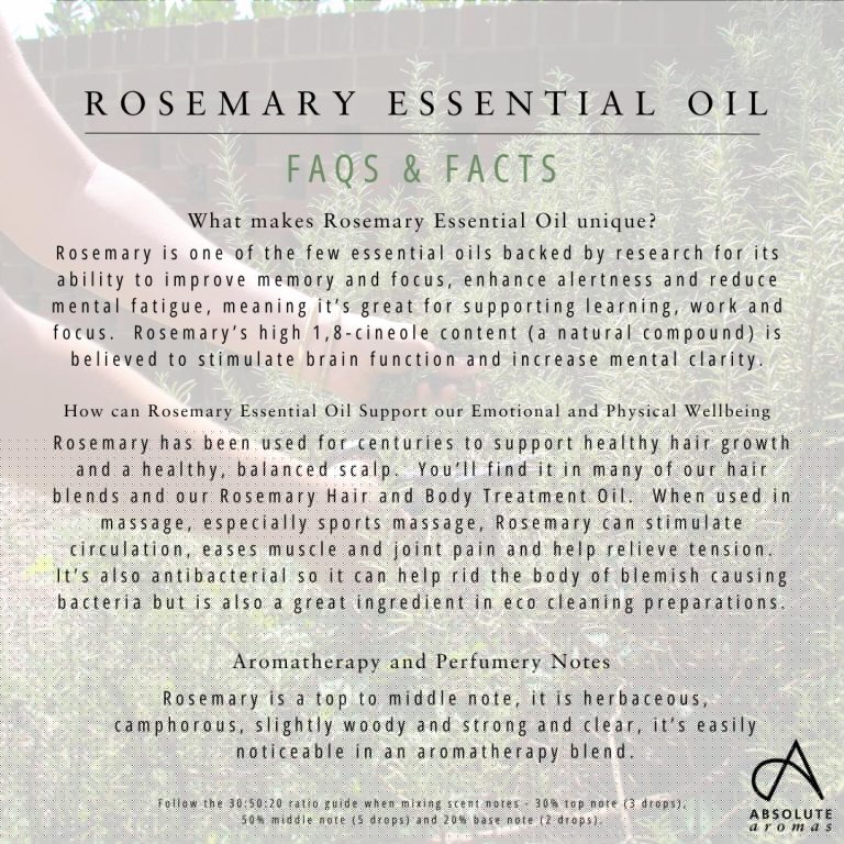 Absolute Aromas Rosemary Essential Oil