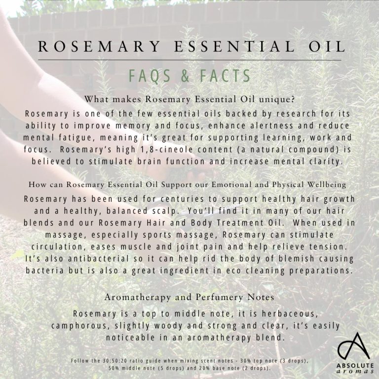 Absolute Aromas Rosemary Essential Oil