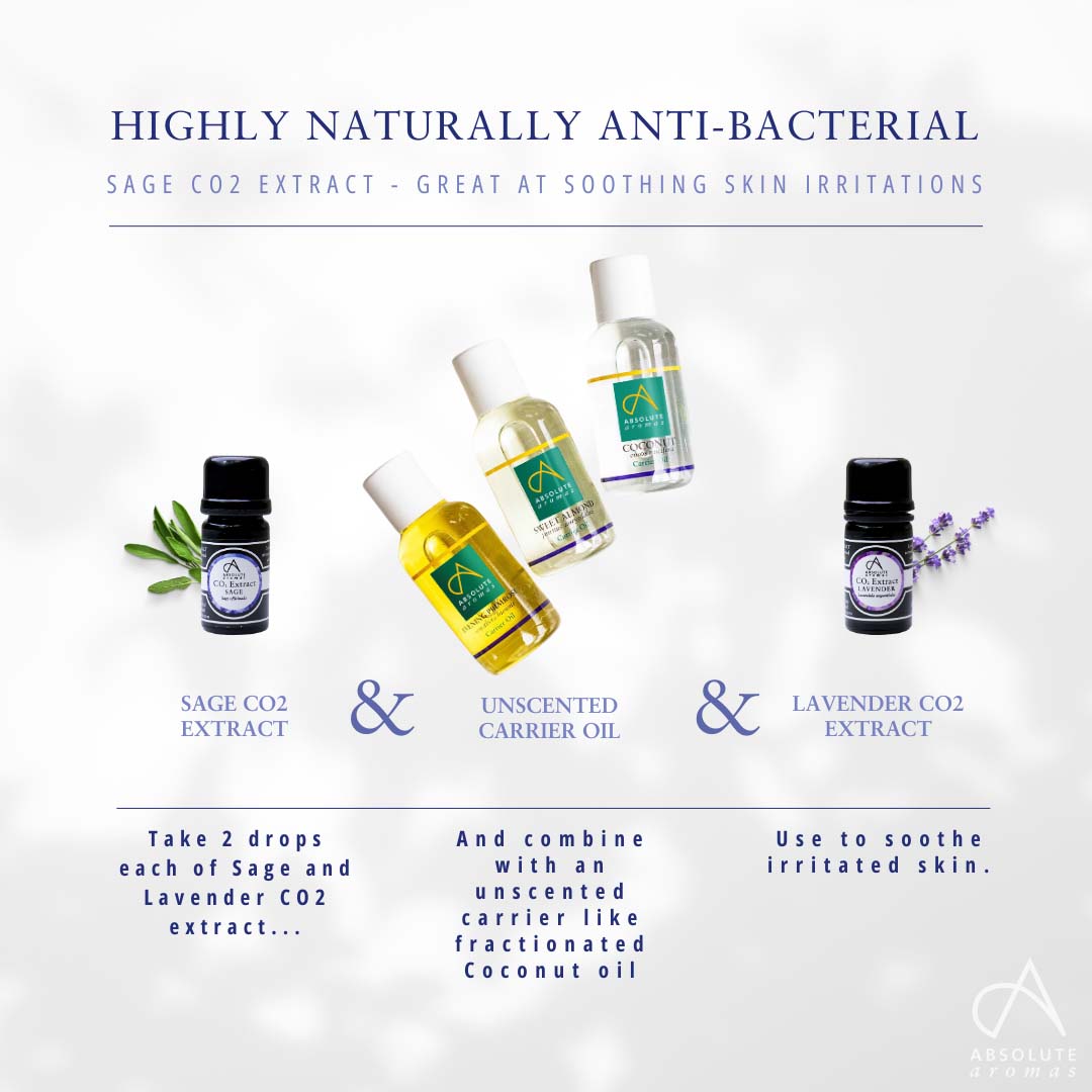 Absolute Aromas Sage CO2 Extract