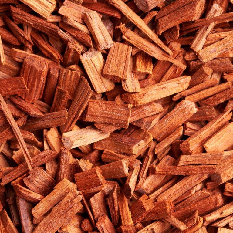 Absolute Aromas Sandalwood Essential Oil
