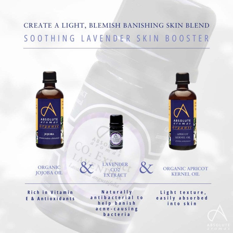 Absolute Aromas Lavender CO2 Extract