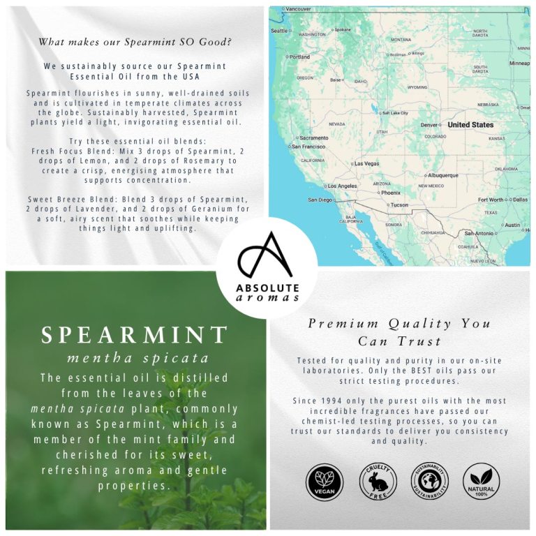 Absolute Aromas Spearmint Essential Oil