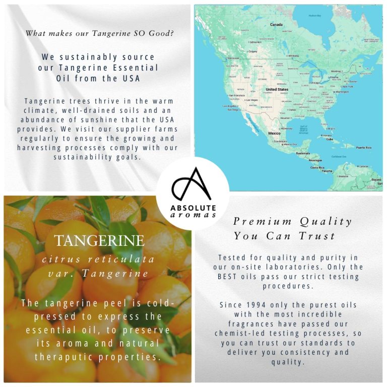 Absolute Aromas Tangerine Essential Oil