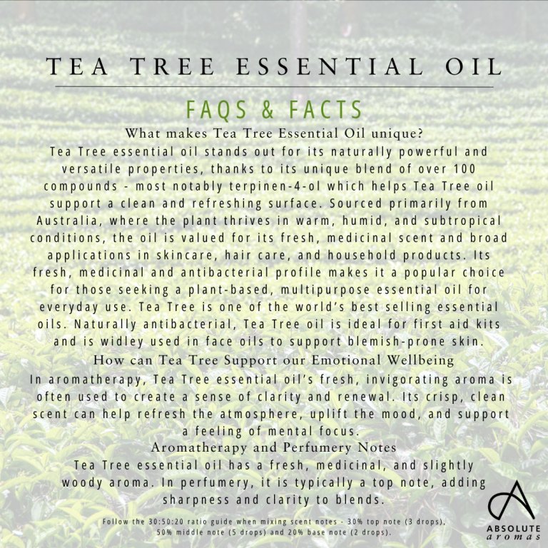 Absolute Aromas Tea Tree Essential Oil