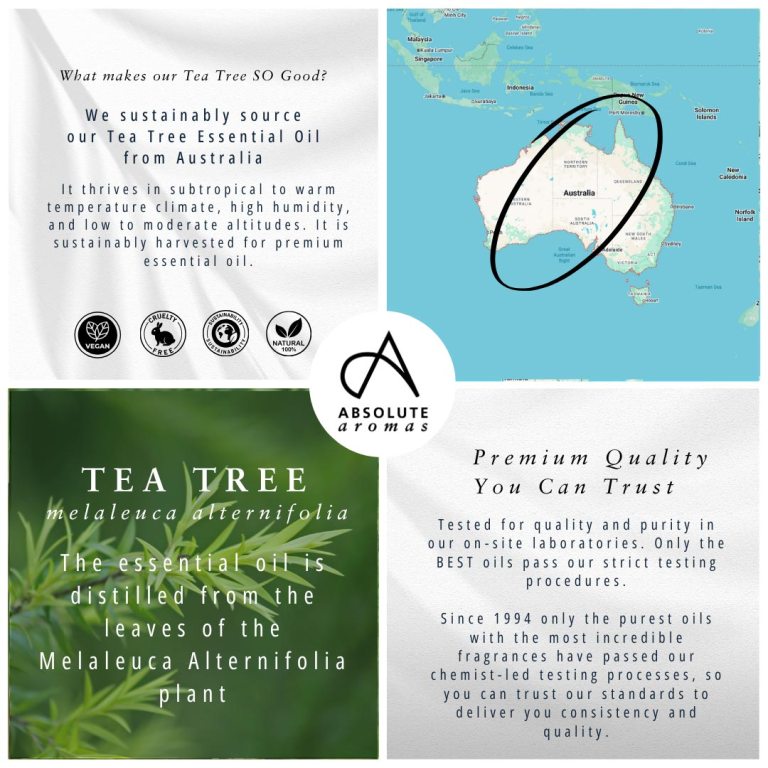 Absolute Aromas Tea Tree Essential Oil