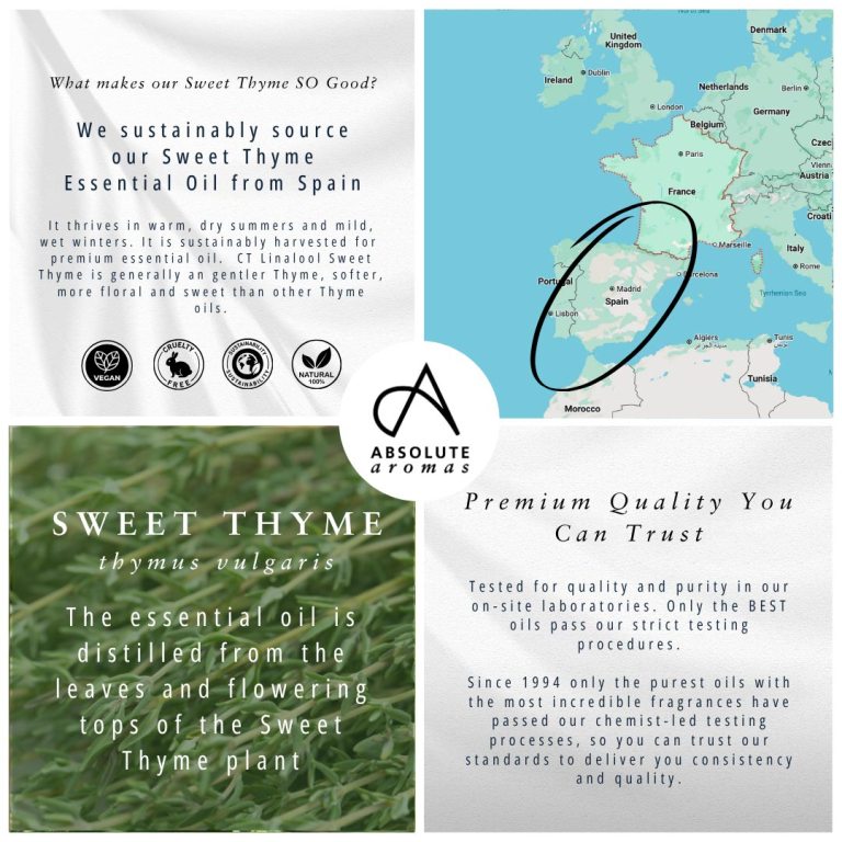 Absolute Aromas Thyme, Sweet (ct Linalool)