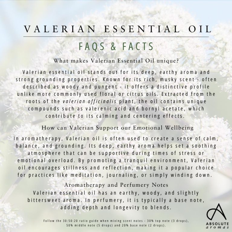 Absolute Aromas Valerian Essential Oil