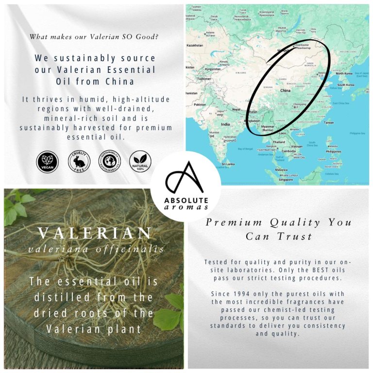 Absolute Aromas Valerian Essential Oil
