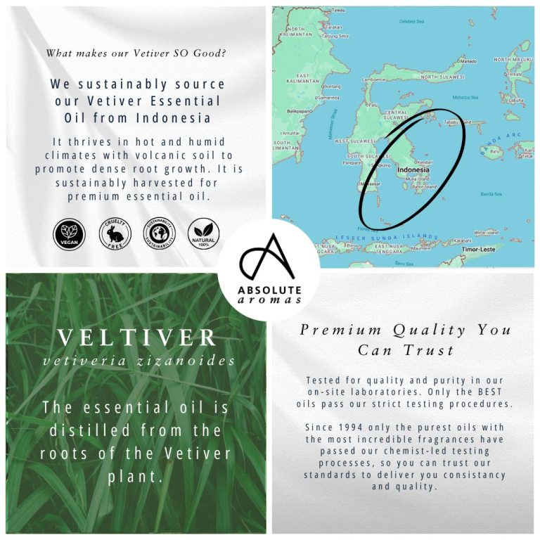 Absolute Aromas Vetiver Essential Oil