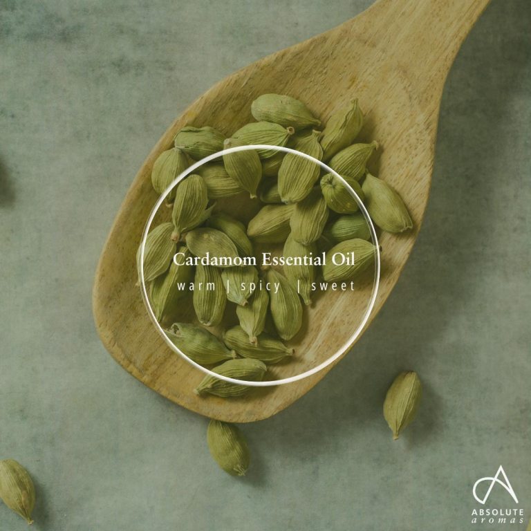 Absolute Aromas Cardamom Essential Oil