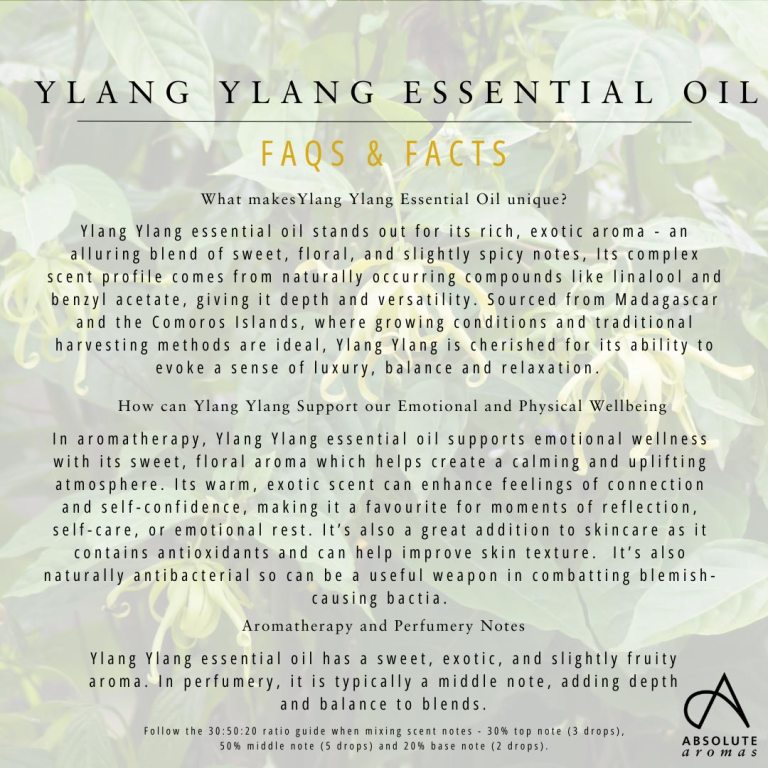 Absolute Aromas Ylang Ylang Essential Oil