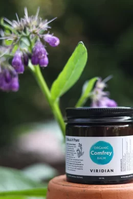 comfrey organic balm jar in natural lighting with a purple flower in the background