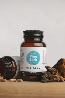 organic pine bark extract jar kept with a pine bark piece and some capsules spilling out of another jar